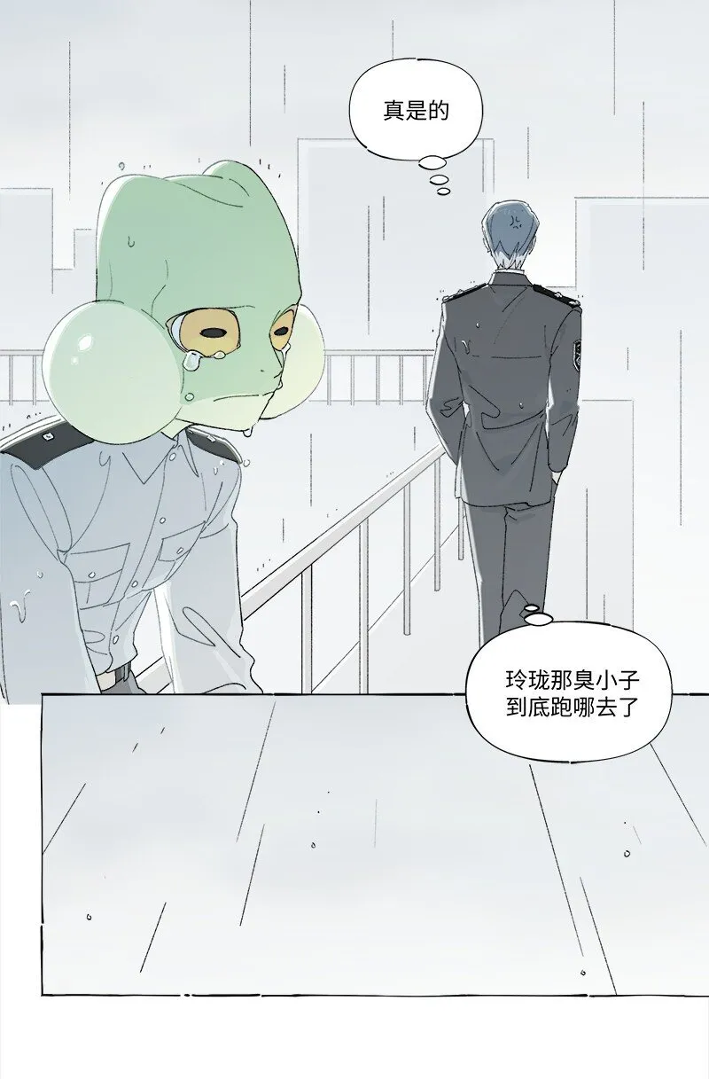 未归档 【编号230801】雨天小心青蛙。34