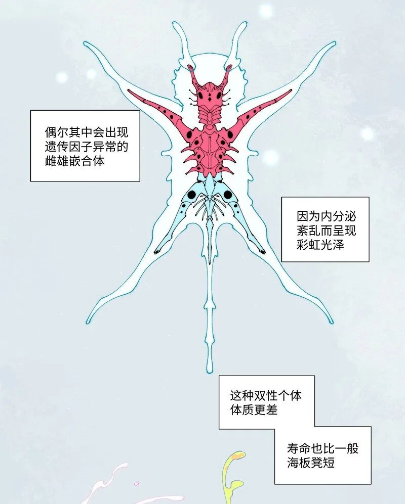 【第29谈】 方是真的，药是假的。9