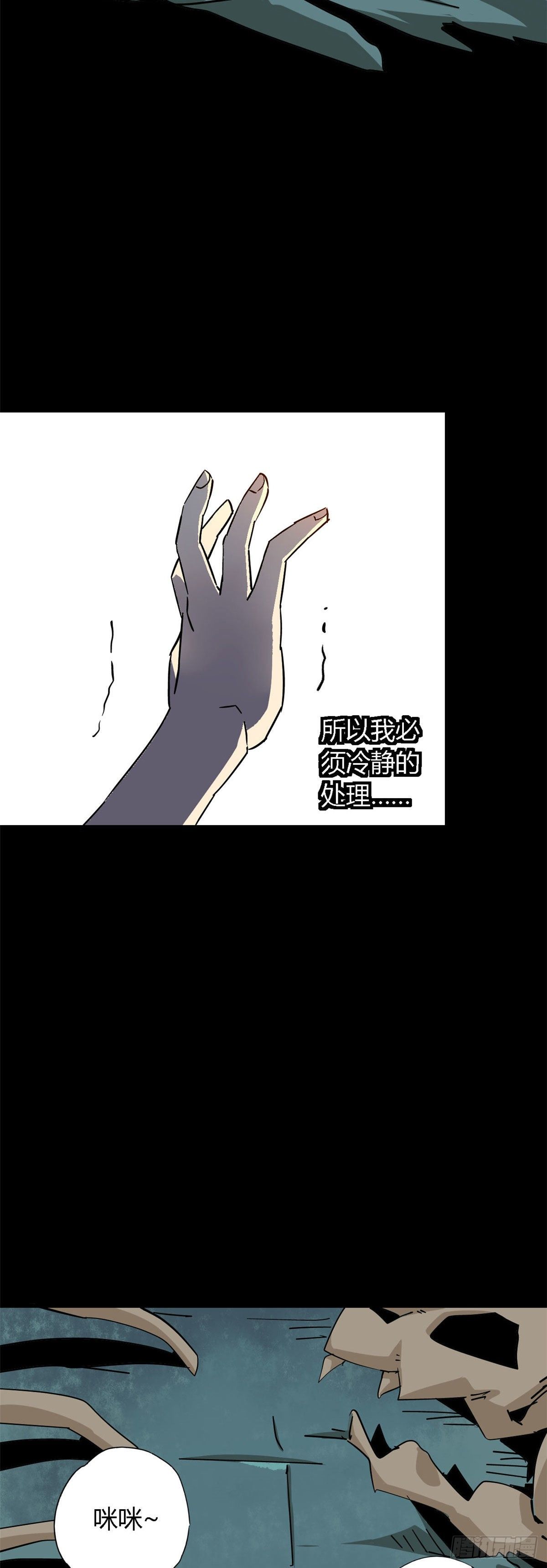 11 爱猫人士表示谴责3