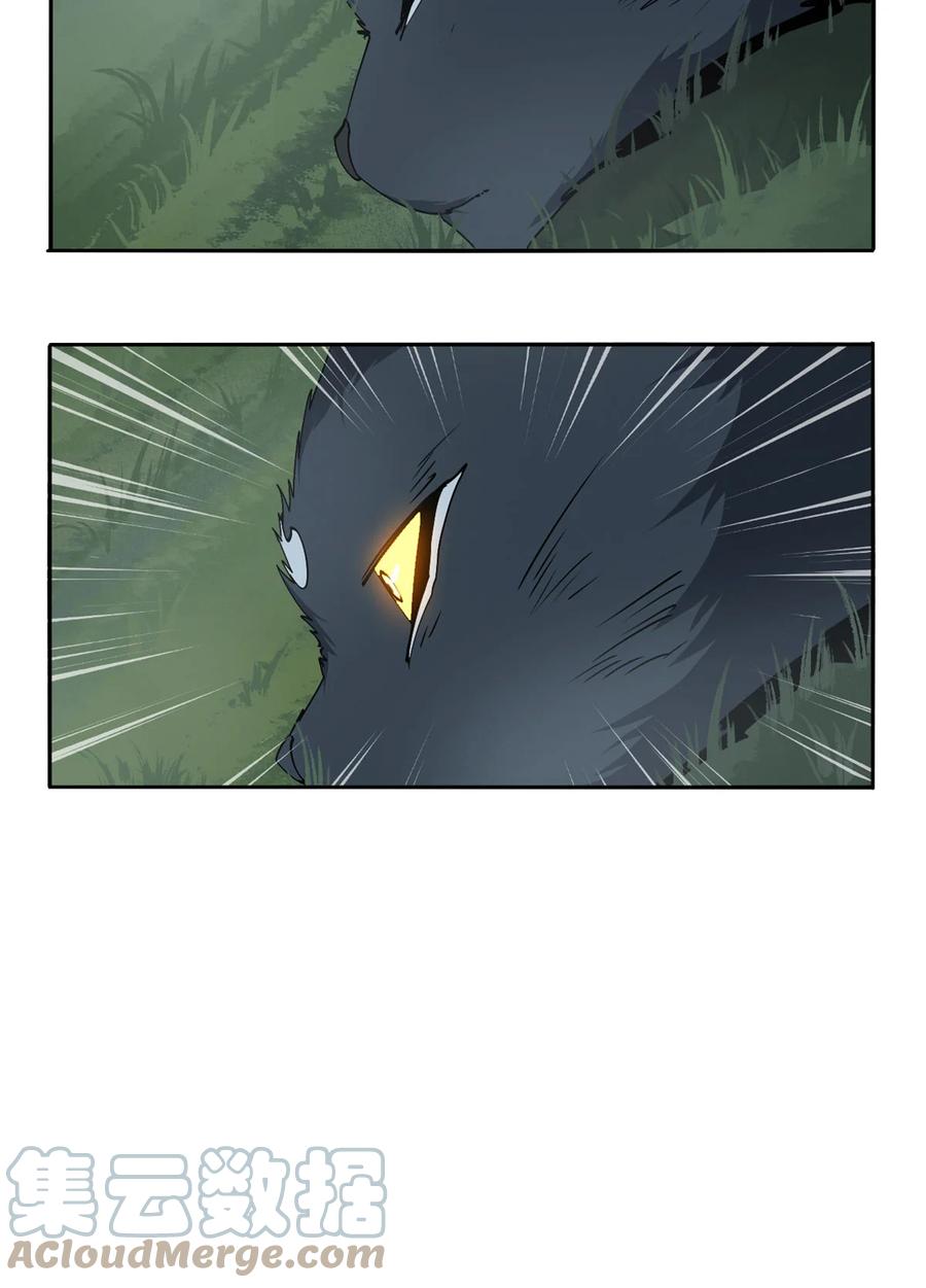 66 猫哥说话了！2