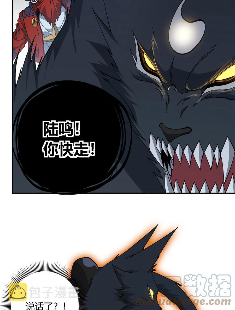 66 猫哥说话了！18