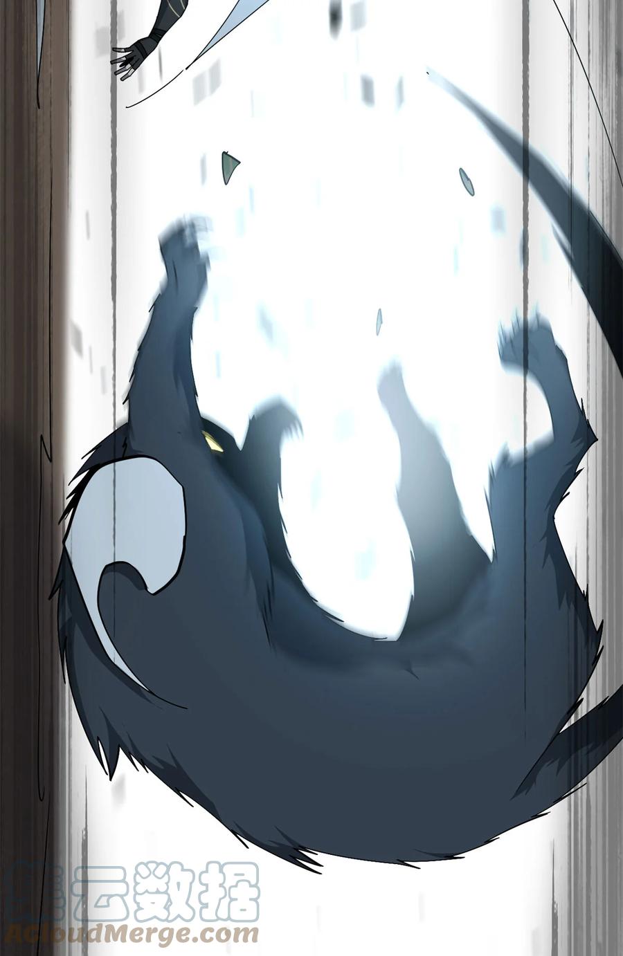 66 猫哥说话了！30