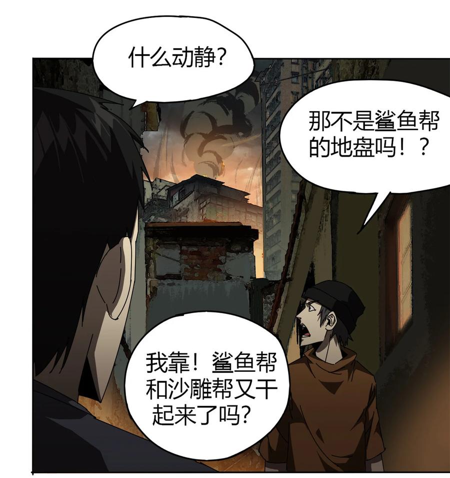 53 花儿一样5