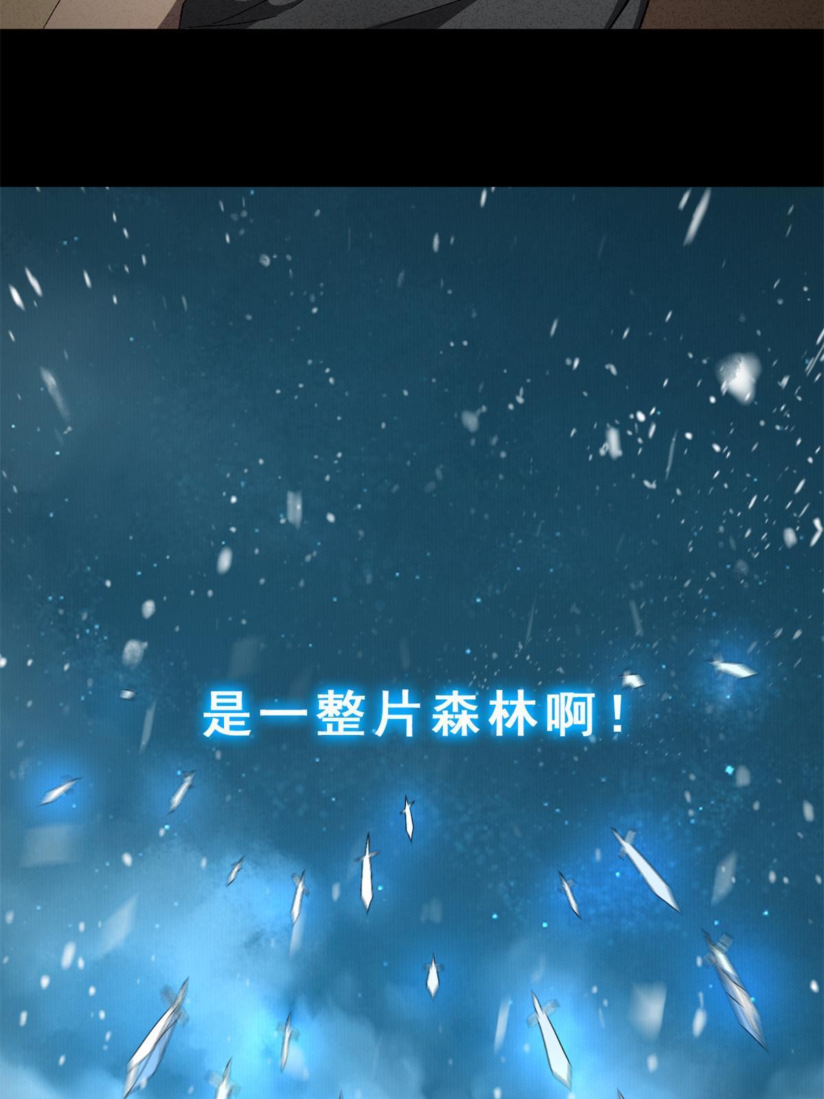 132 冰风剑雨22