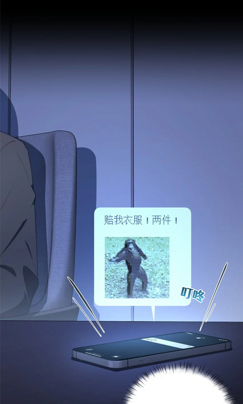 68 玫瑰15