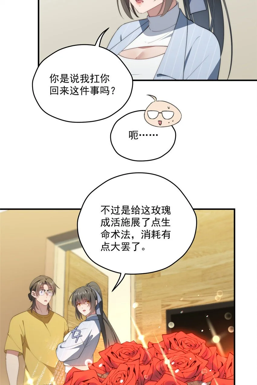 68 玫瑰24