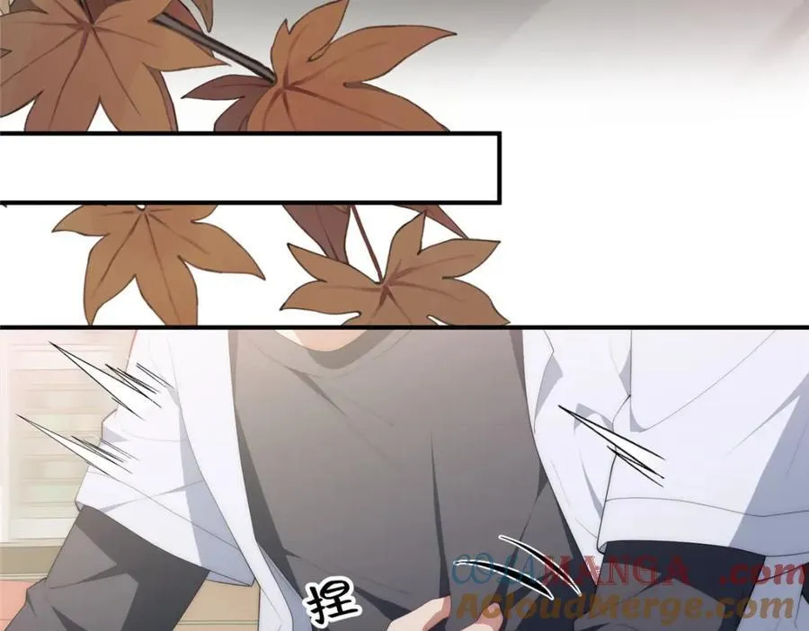 113 柔软的季节52