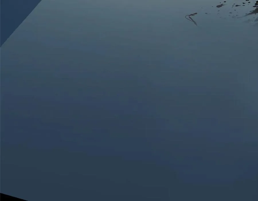 119 秋无际出手63