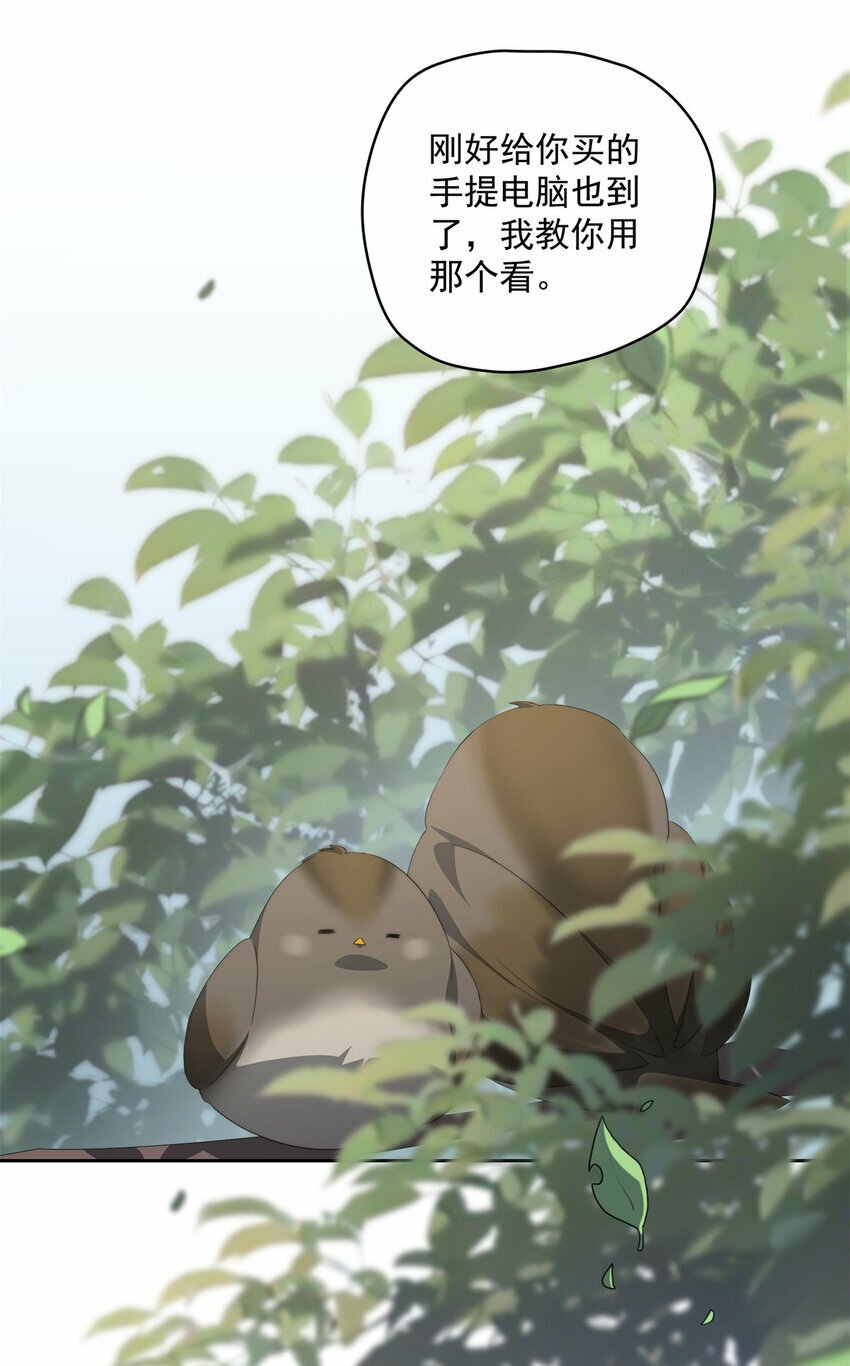 31 秋无际联网15