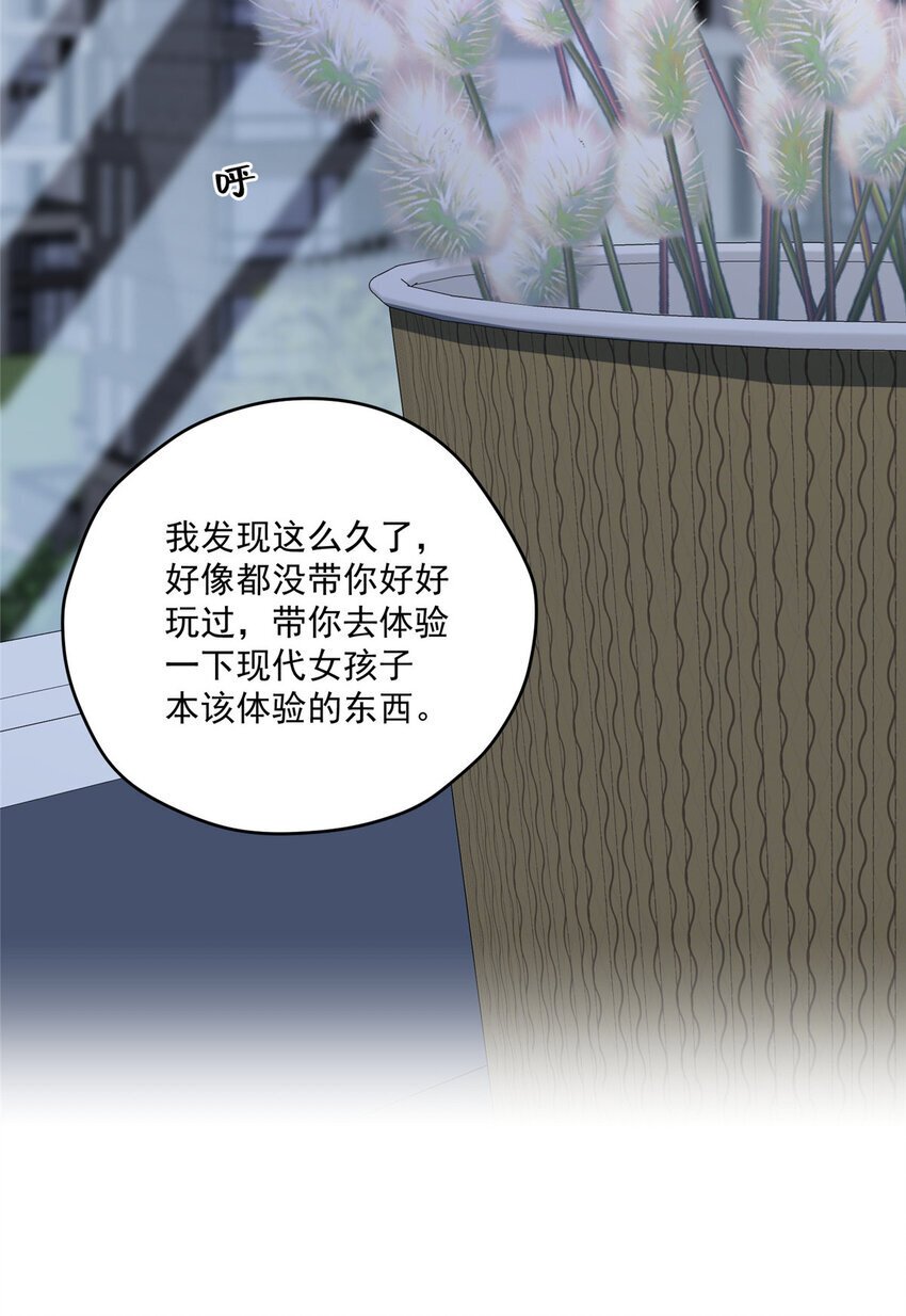 62 狗尾巴草摇啊摇41