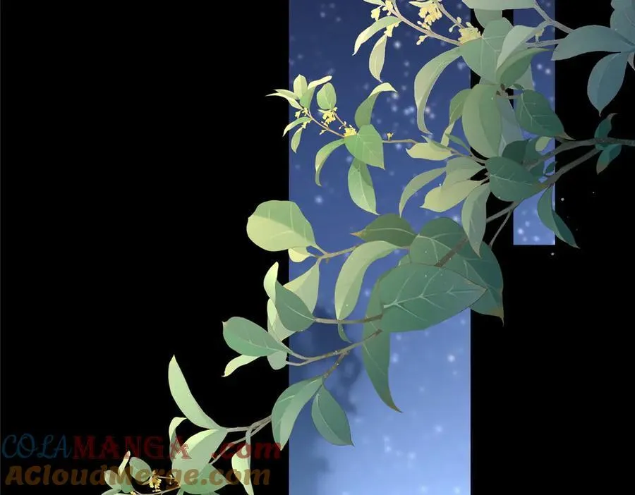 117 月影求助120