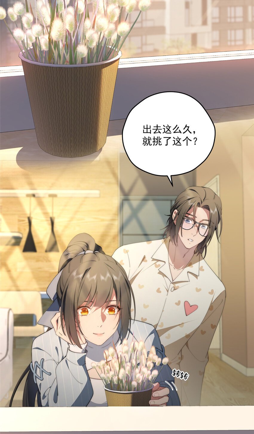 62 狗尾巴草摇啊摇3