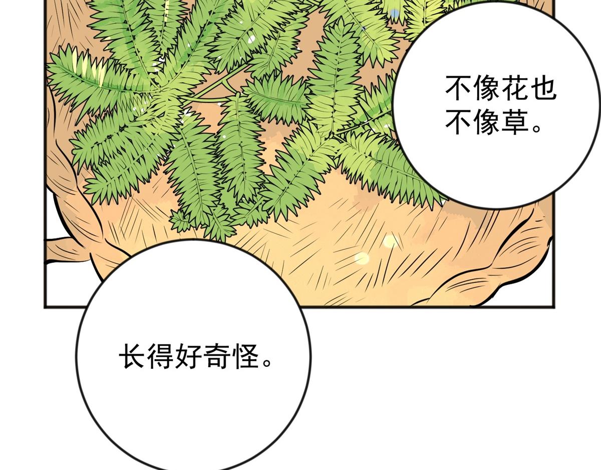 第146话 赌王之子（二十二）14