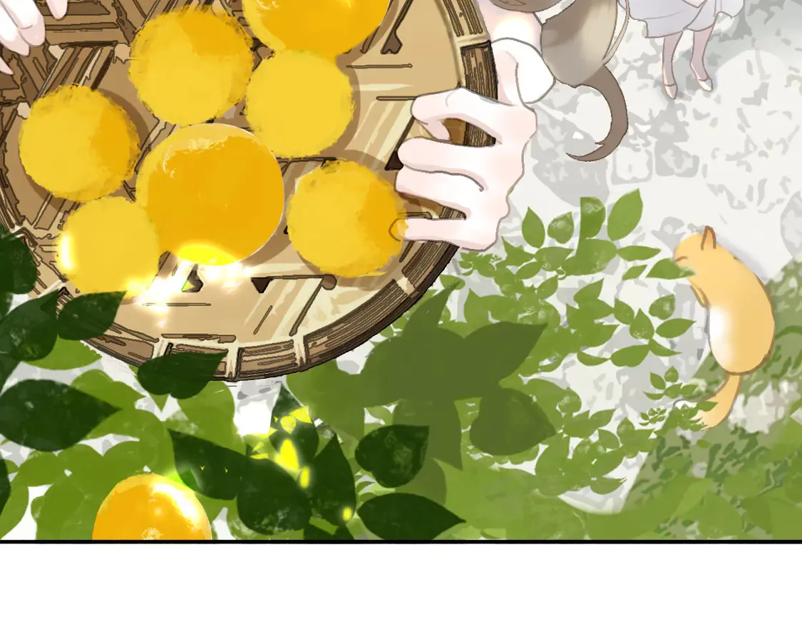 21 天府67