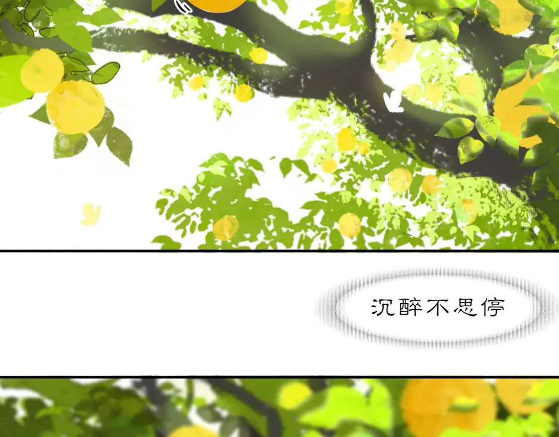 21 天府64
