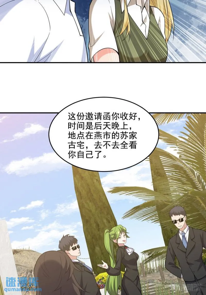 217 苏家的邀约4