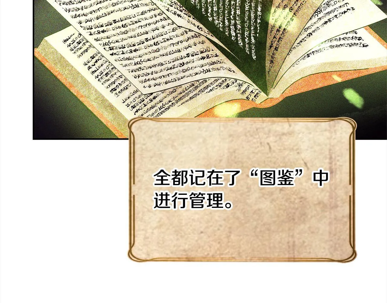 第44话 图鉴之外的圣物14