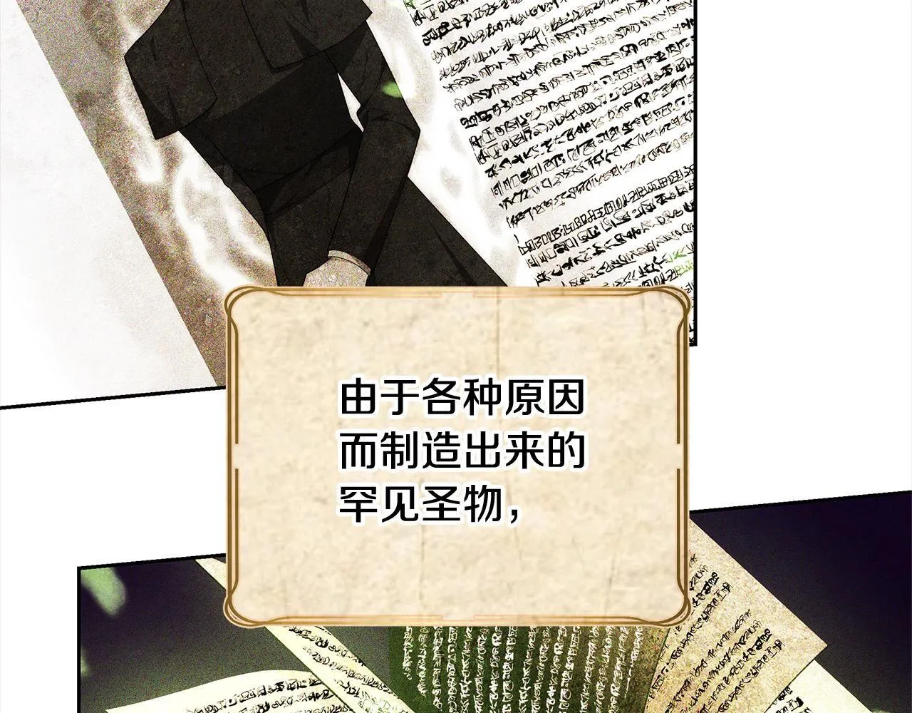 第44话 图鉴之外的圣物13