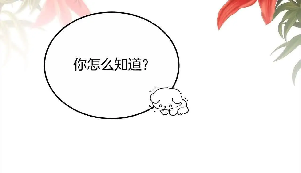 第20话 你敢欺负我姐？168