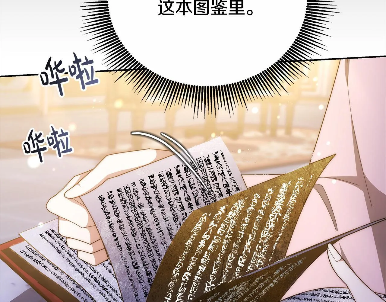 第44话 图鉴之外的圣物28