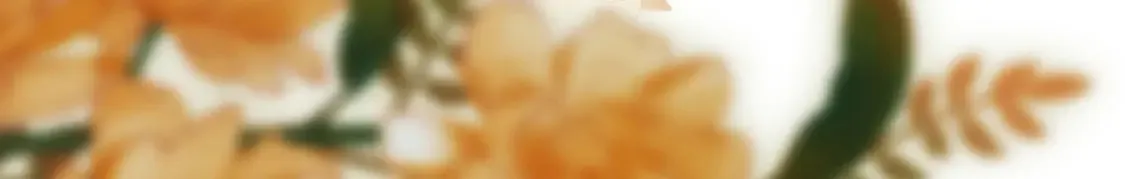 第二十四话 综艺开始76