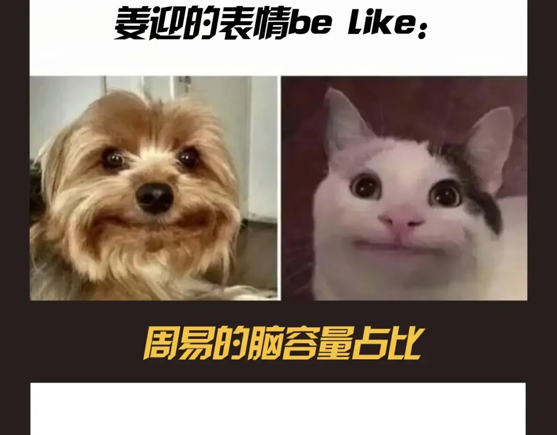 第14期 特别企划：姜迎梗图的一百种玩法5
