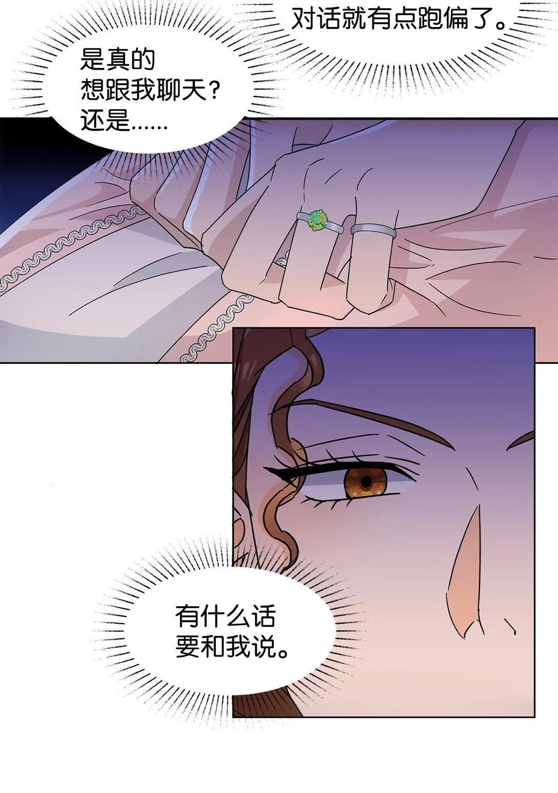 53 与教皇见面29