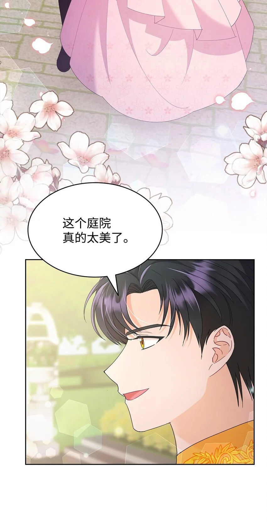 26 每日到访24