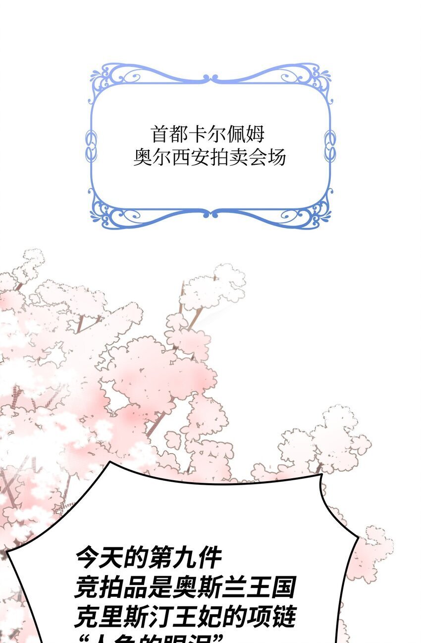 15 竞拍苍鹰71