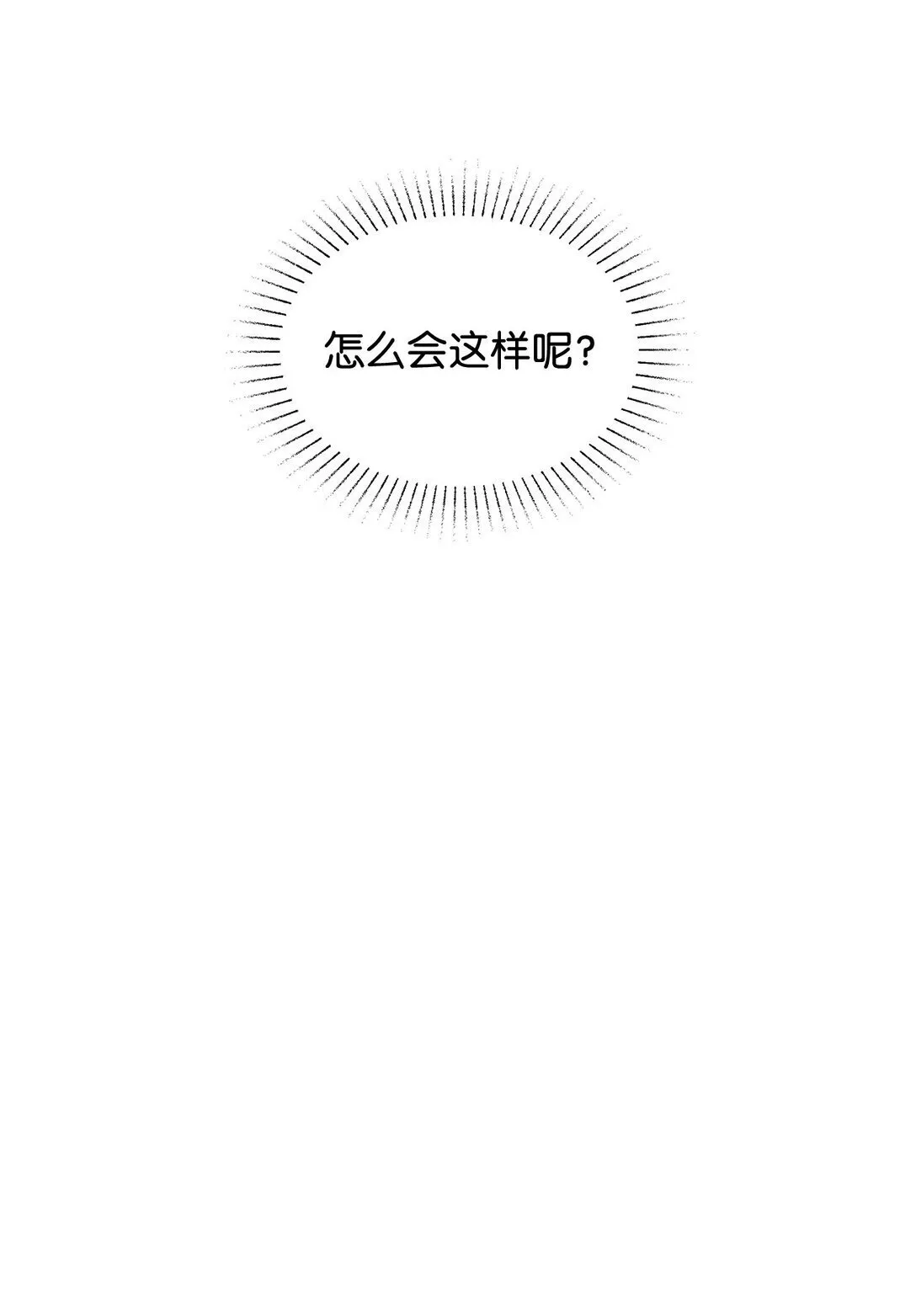 53 与教皇见面6