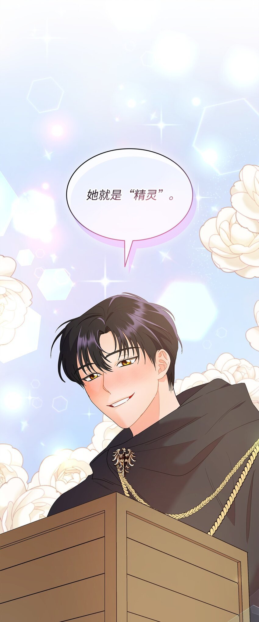 16 伊斯艾尔是精灵33