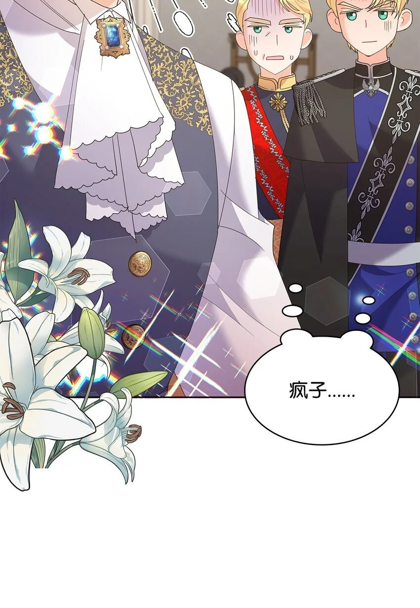 26 每日到访79