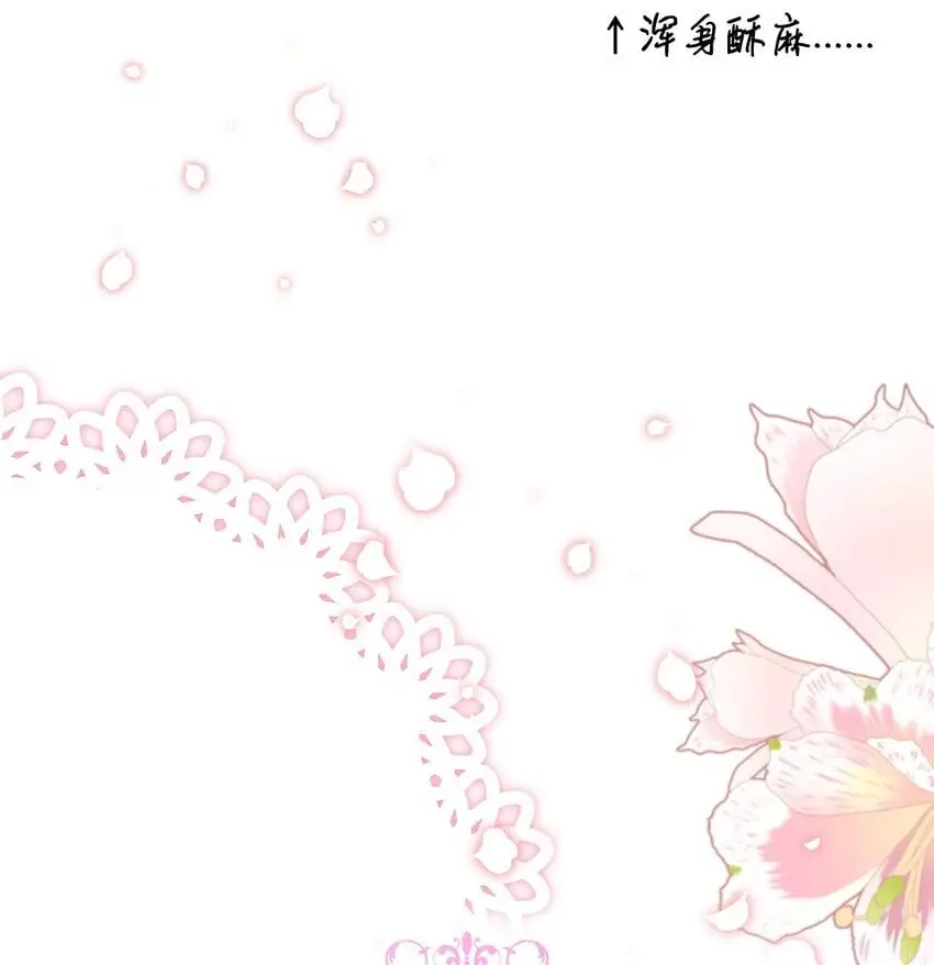 26 每日到访52