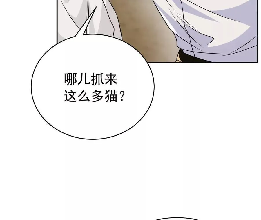 27 来的本该是春天94