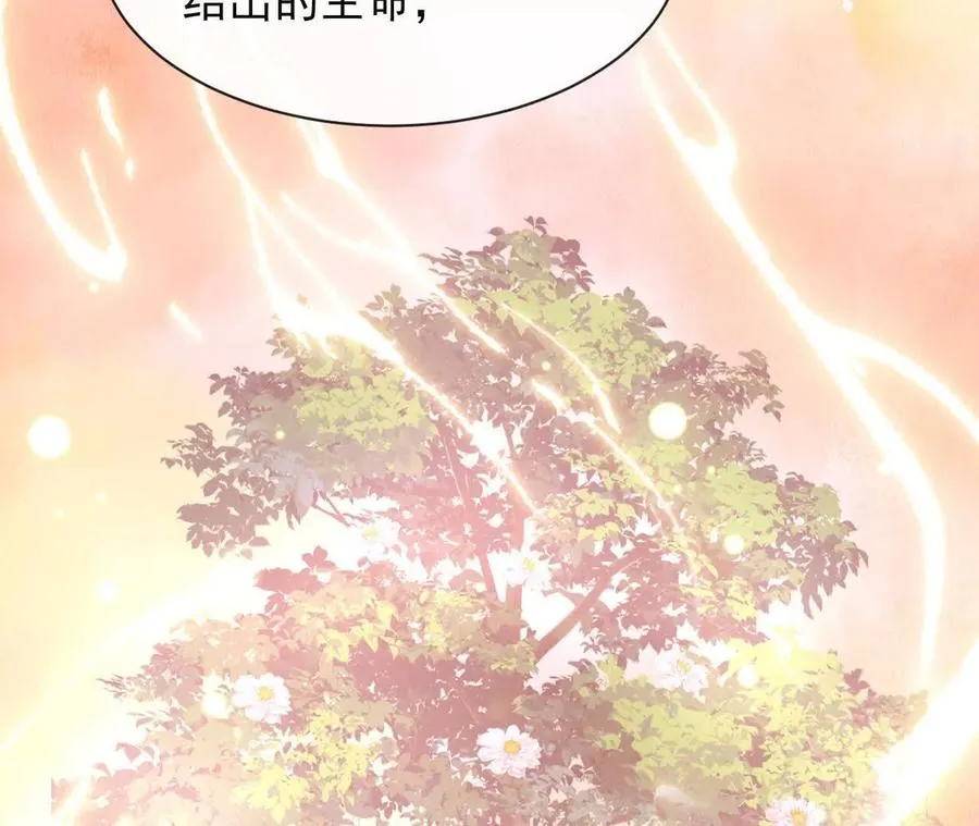 11 总裁or乞丐50