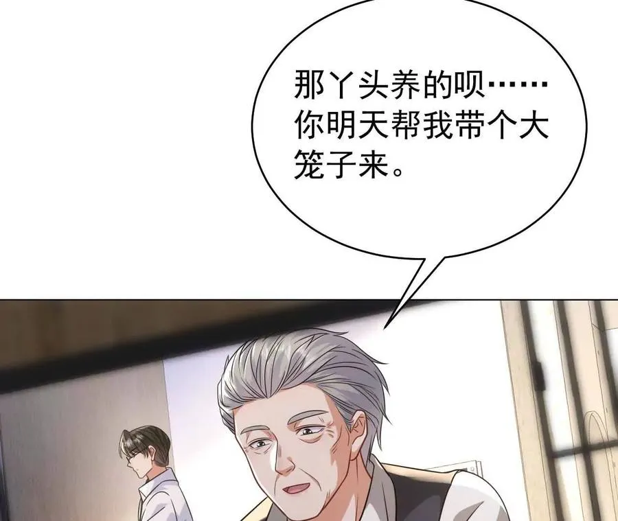 27 来的本该是春天95