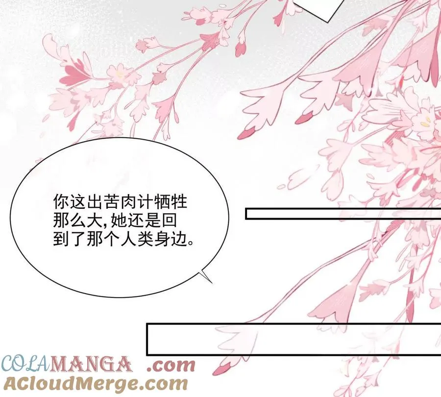 天使霸王龙30
