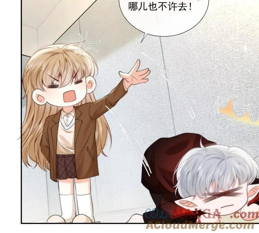 凤凰之血112