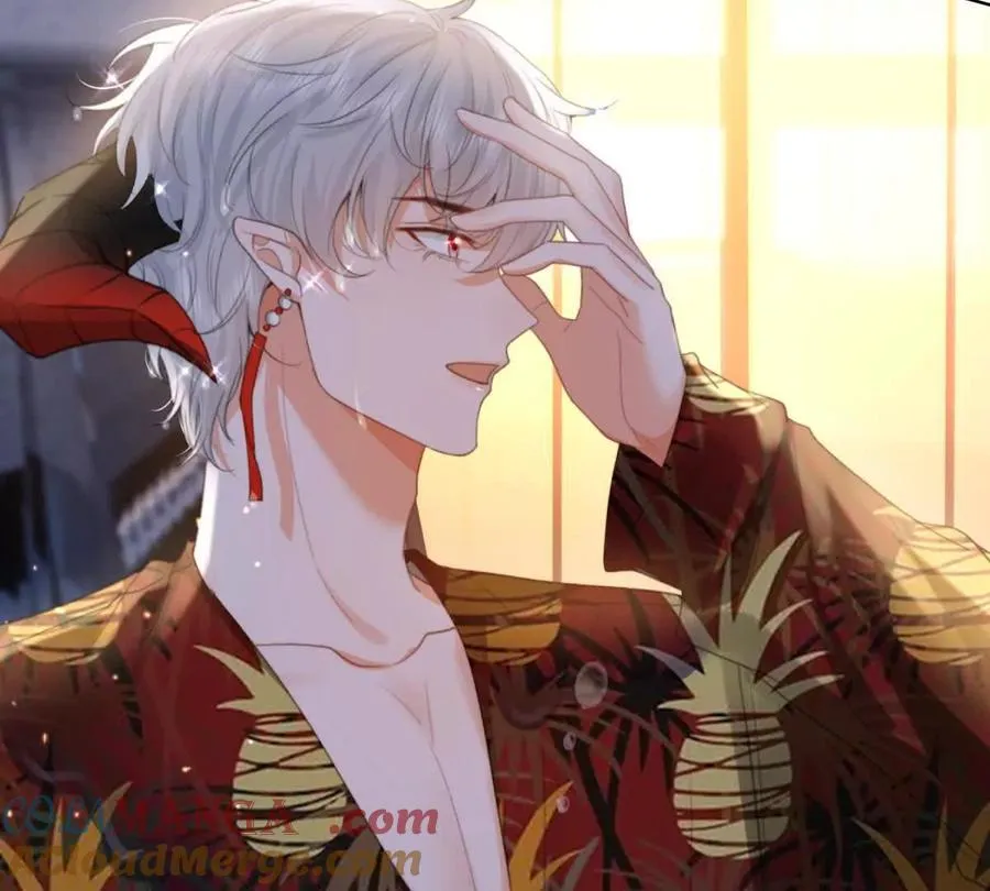 心愿72
