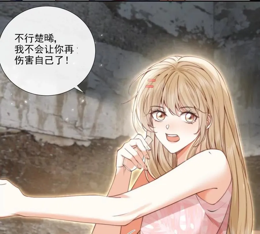 凤凰之血22