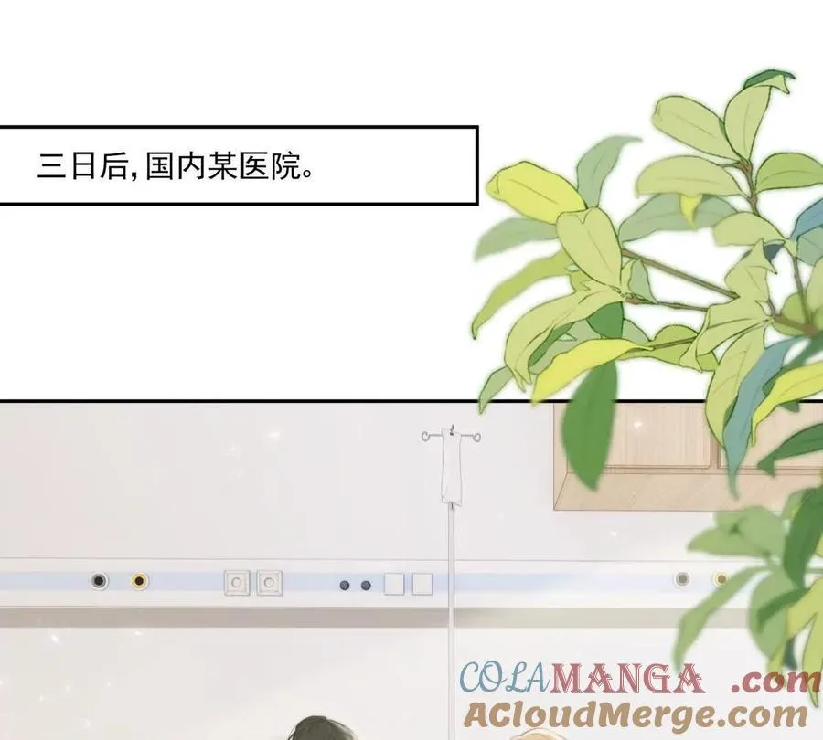 凤凰之血64