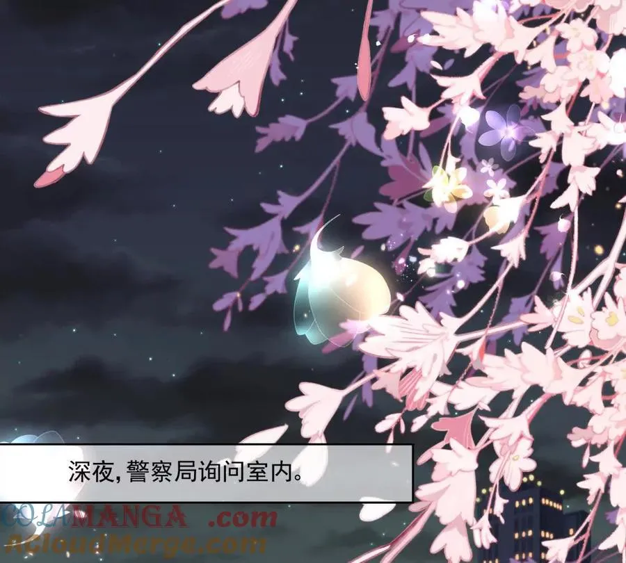 心愿44