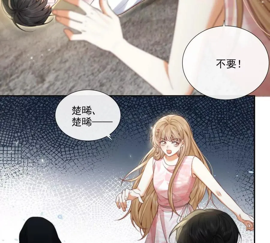 凤凰之血43