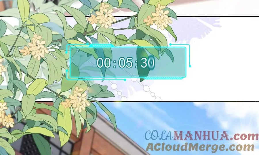顶峰相见48