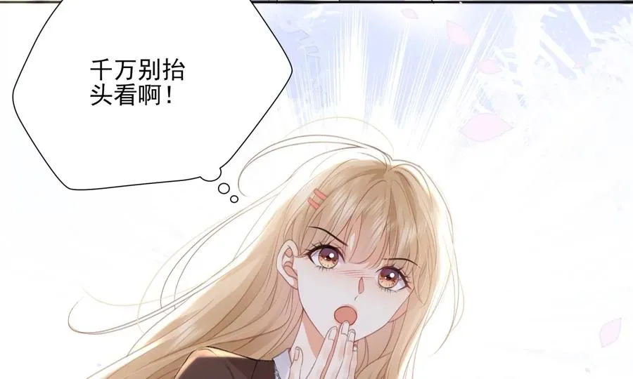顶峰相见95