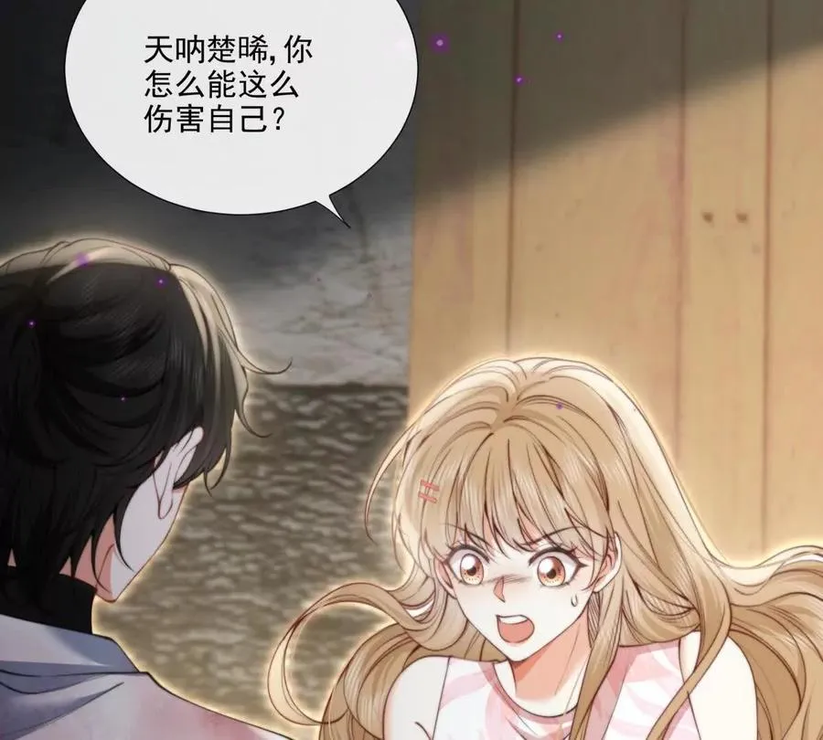 凤凰之血7