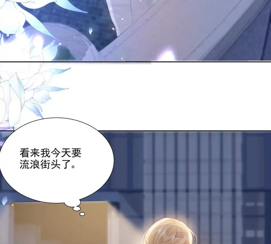 心愿66
