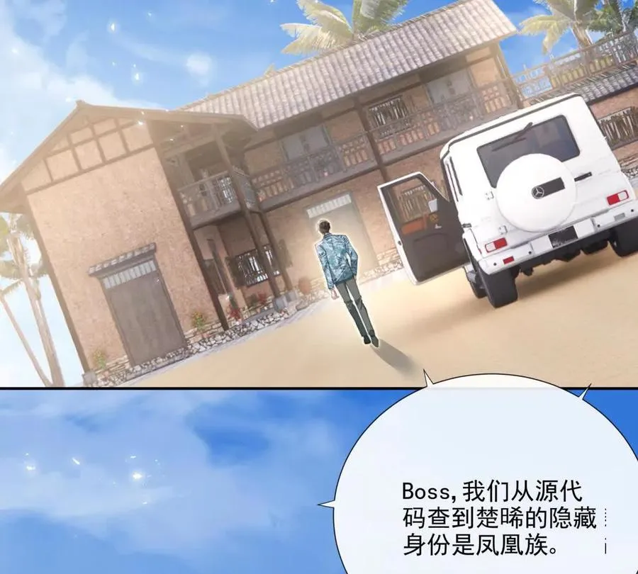 凤凰之血26