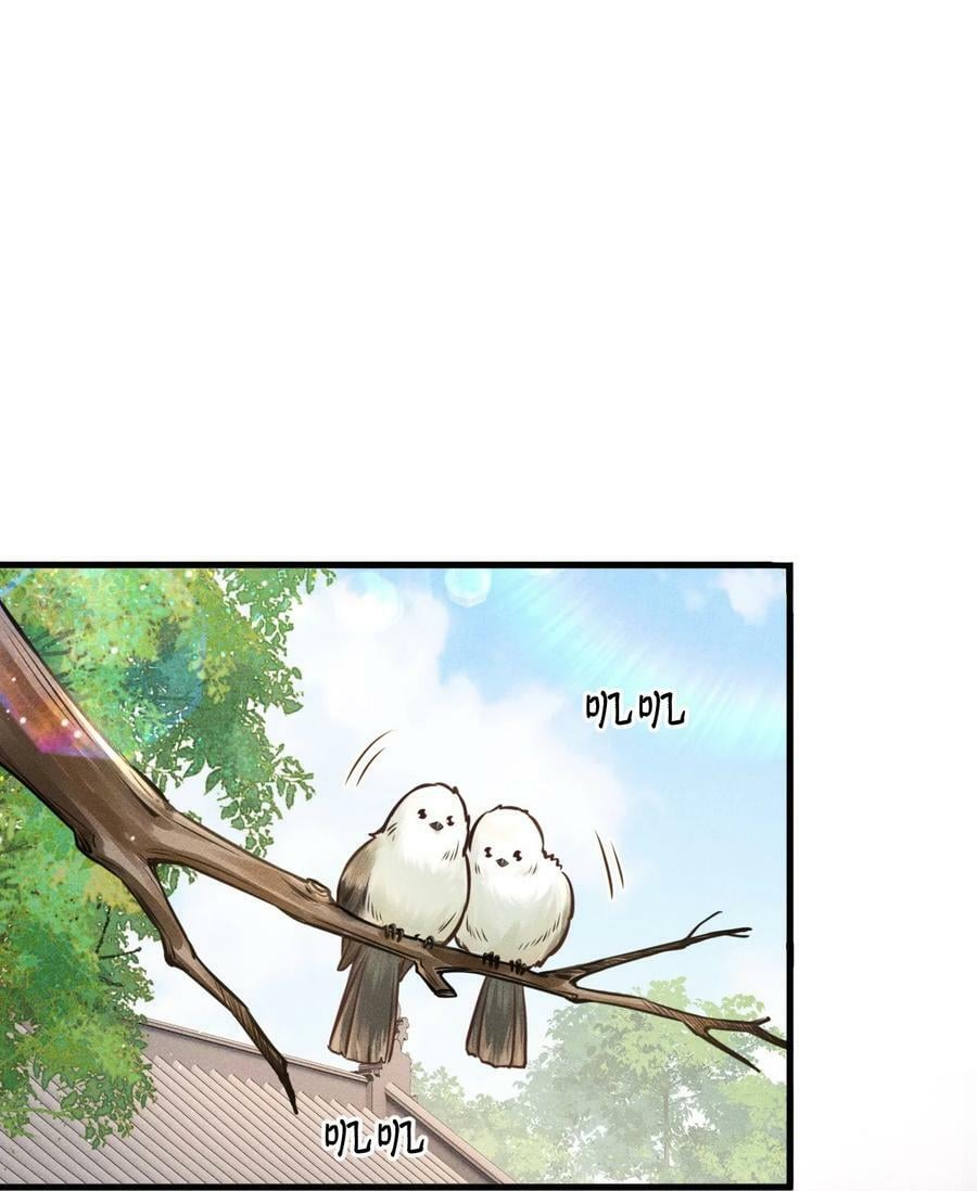 034 选东宫太子妃是什么标准1