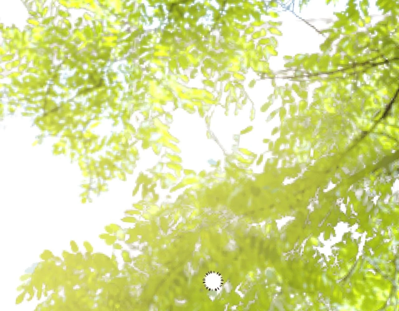 第八话 钻丽之星131